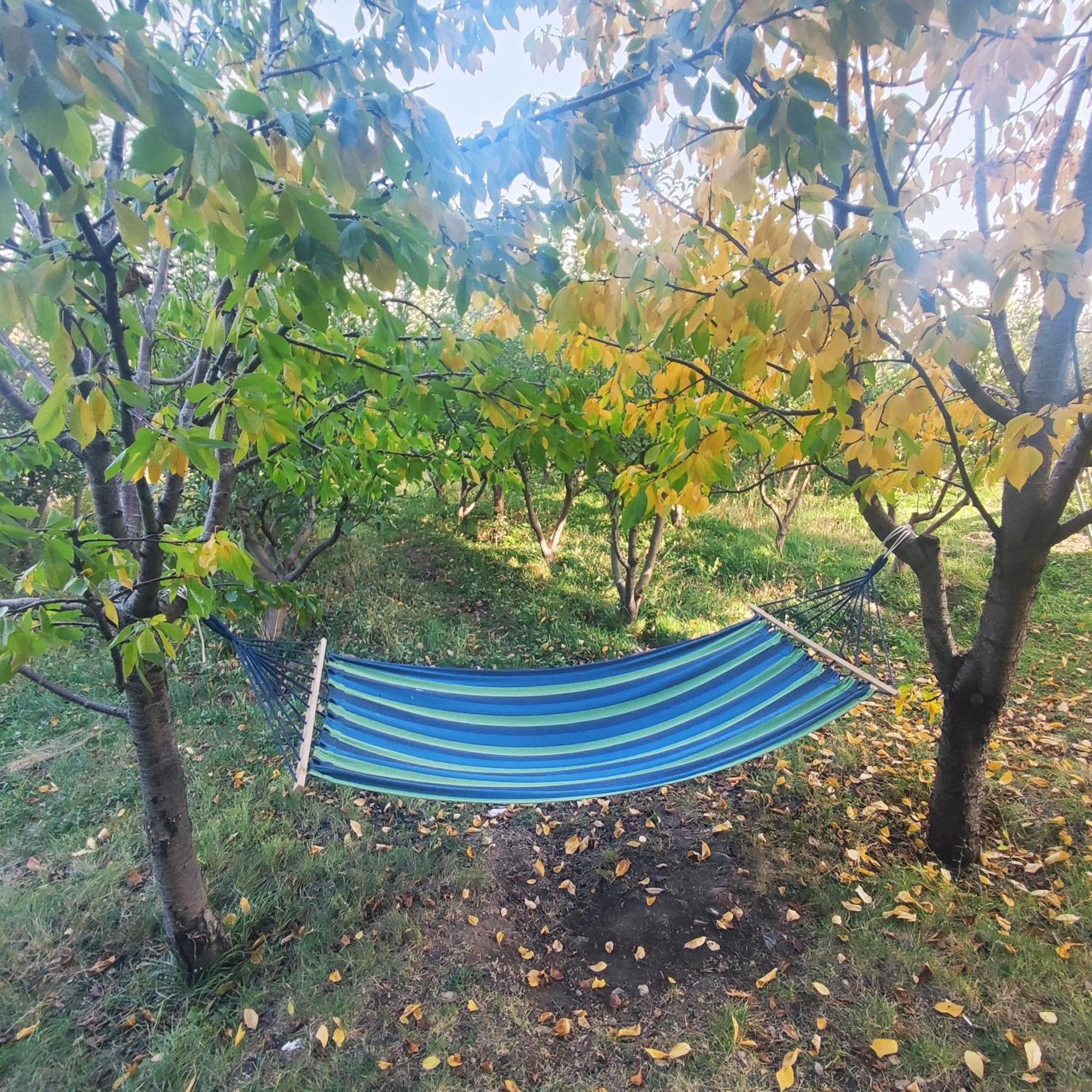 Lanj In Eco Garden/ Guest House Nurnus Екстериор снимка