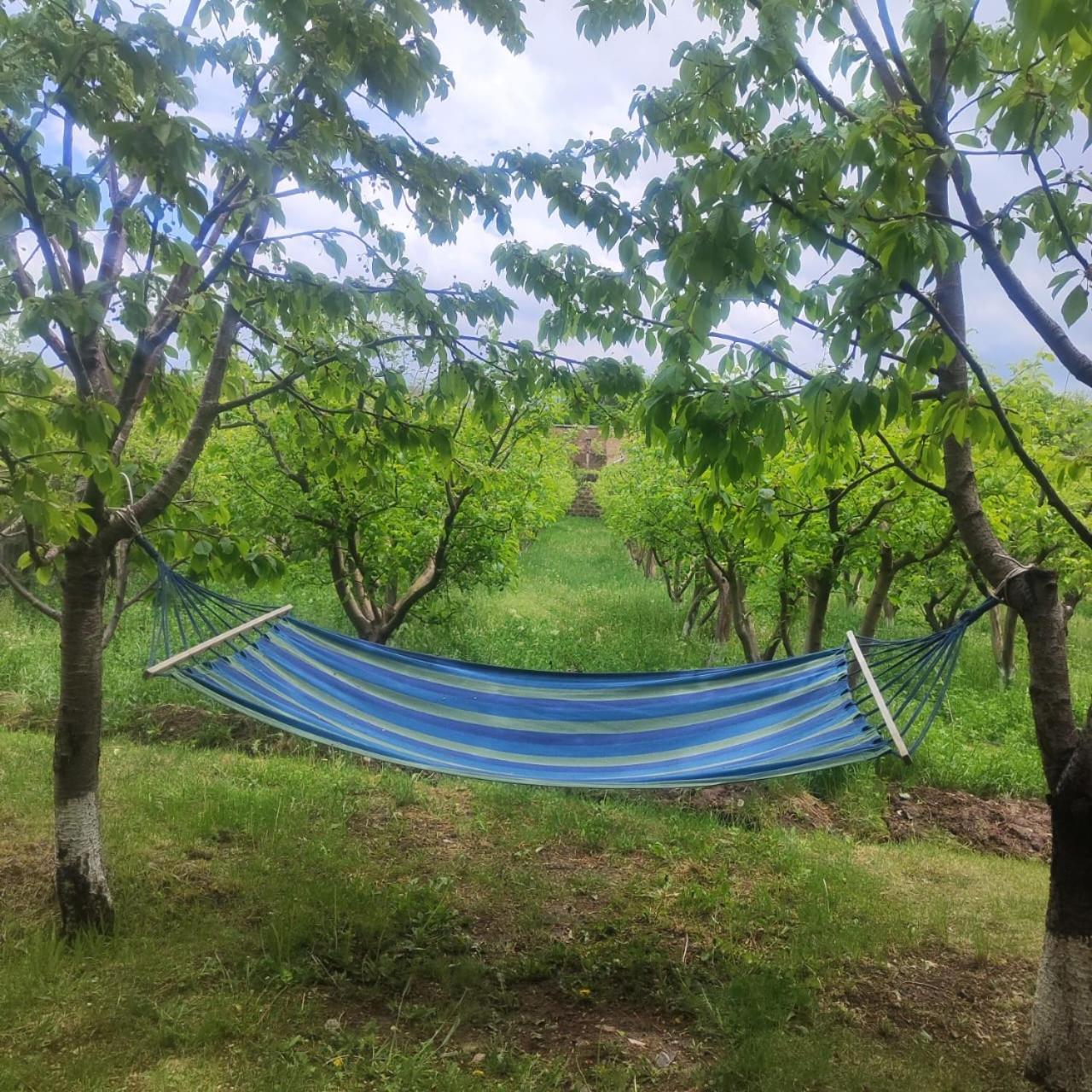 Lanj In Eco Garden/ Guest House Nurnus Екстериор снимка